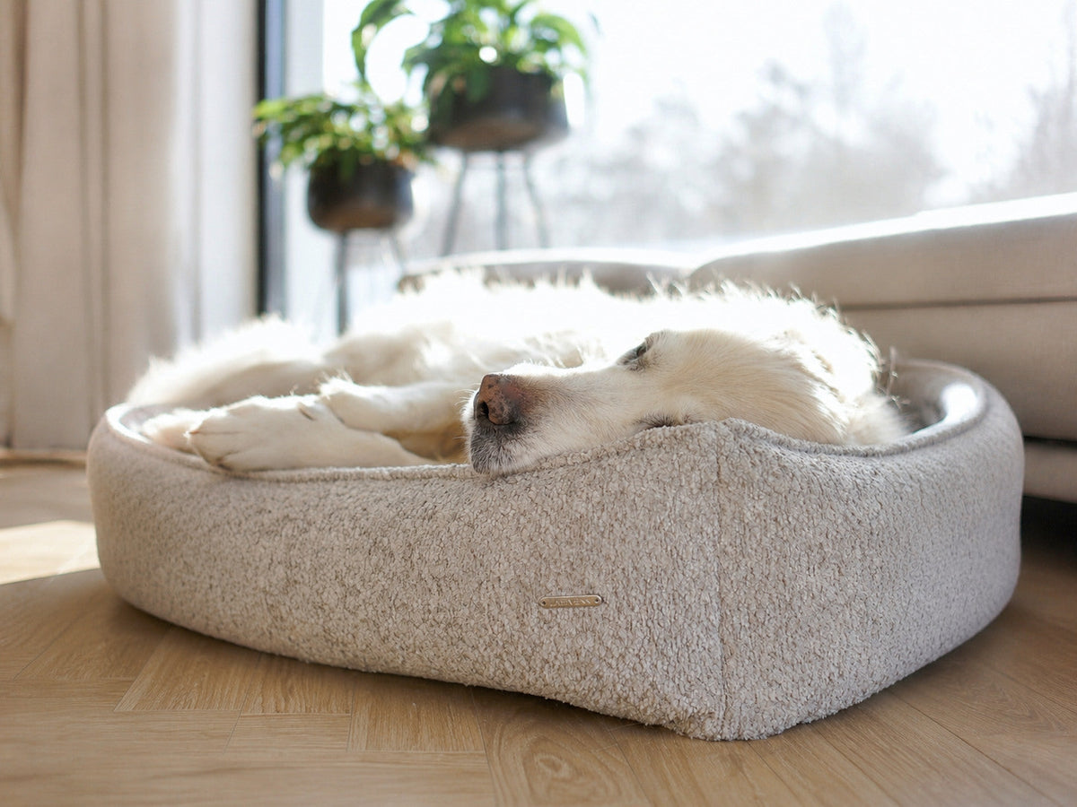 Beds & Comfort