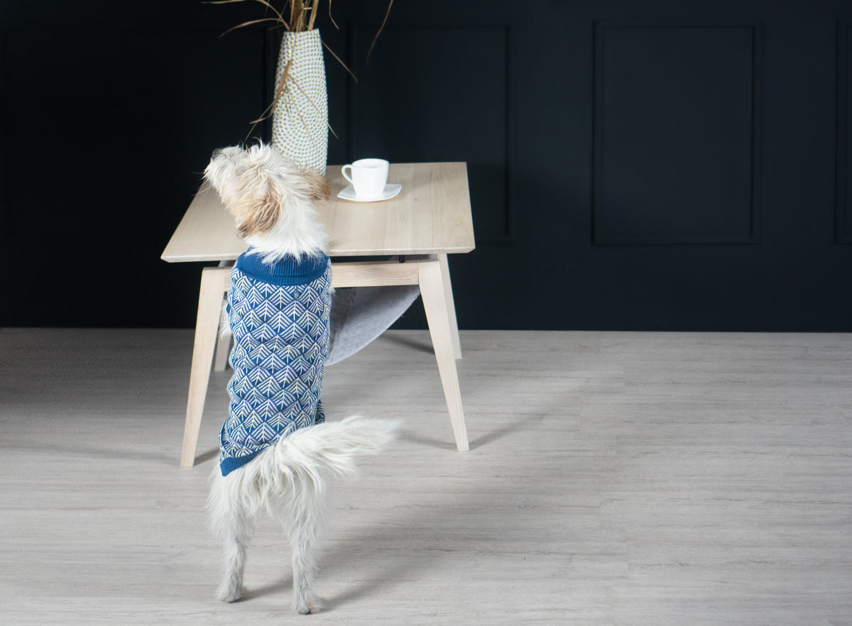 Pullo Italian Dog Sweater
