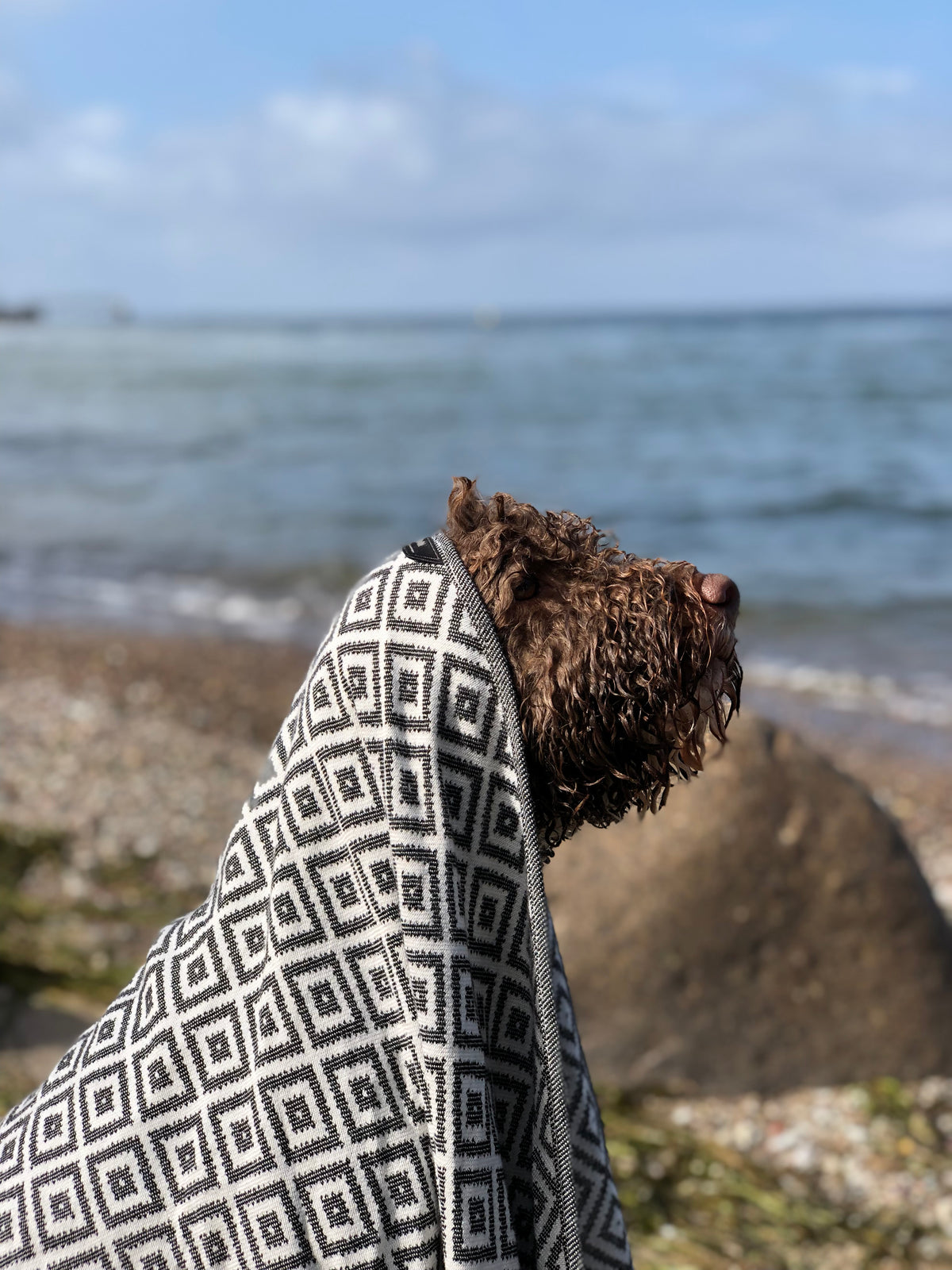 Linaa Dog Towel