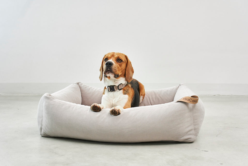Comodo Box Bed — Greige