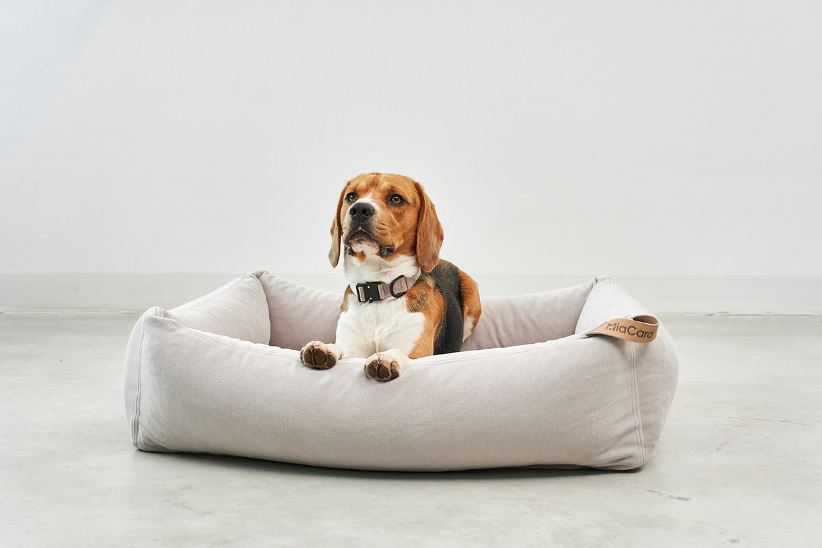 Comodo Box Bed — Greige