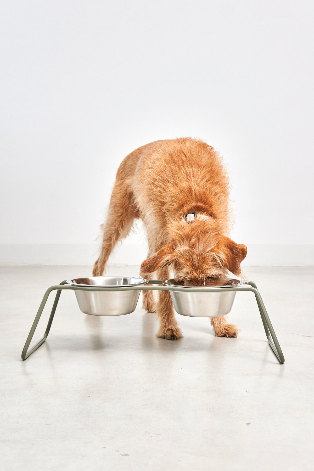 Cena Dog Feeder — Powder-Coated Greige