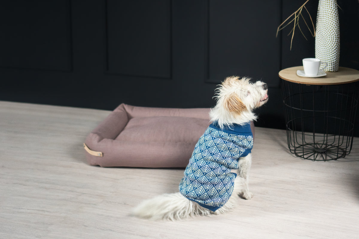 Pullo Italian Dog Sweater