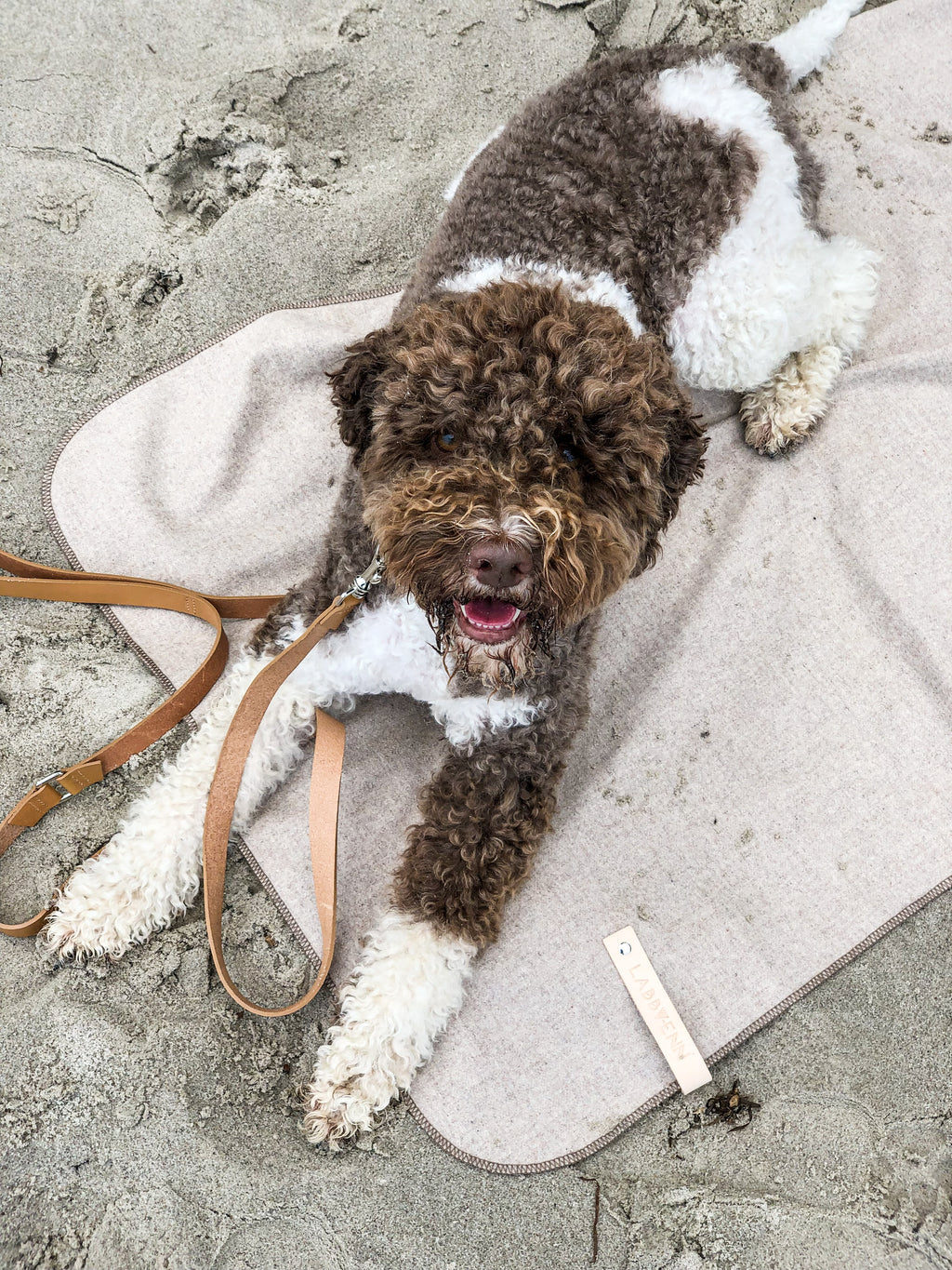 Åsnen Wool-Blend Dog Blanket – Silver
