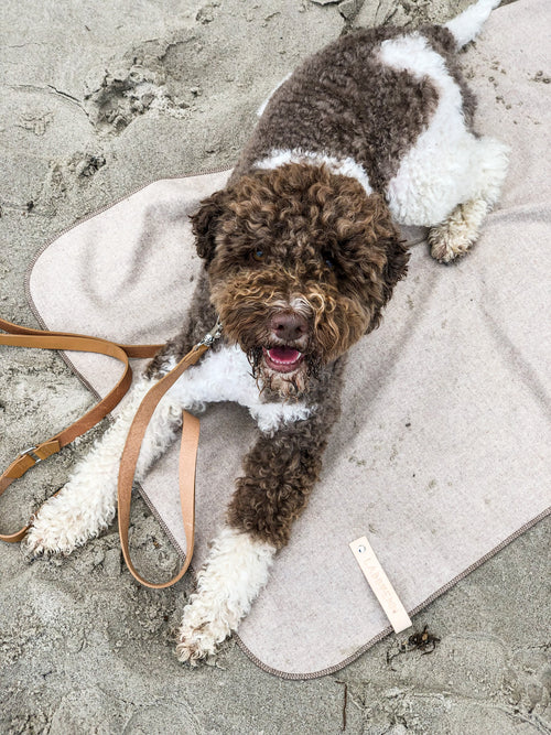 Åsnen Wool-Blend Dog Blanket – Silver