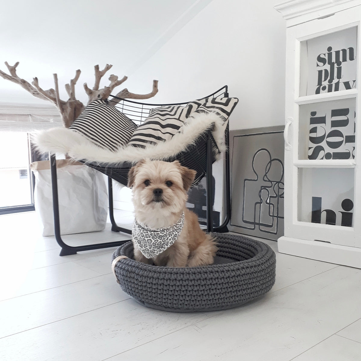 Coco Small Dog Bed