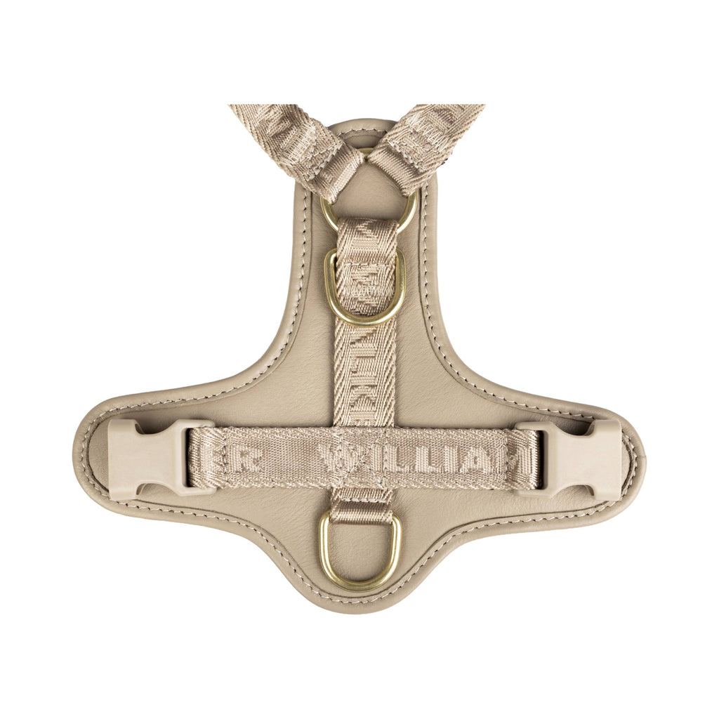 Plain Leather Y-Harness