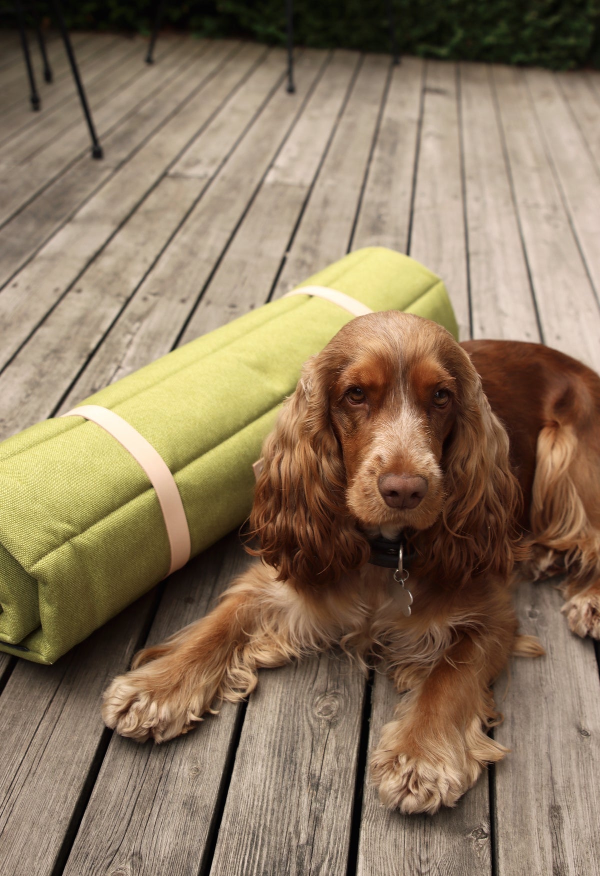 Fosser Quilted Dog Travel Mat