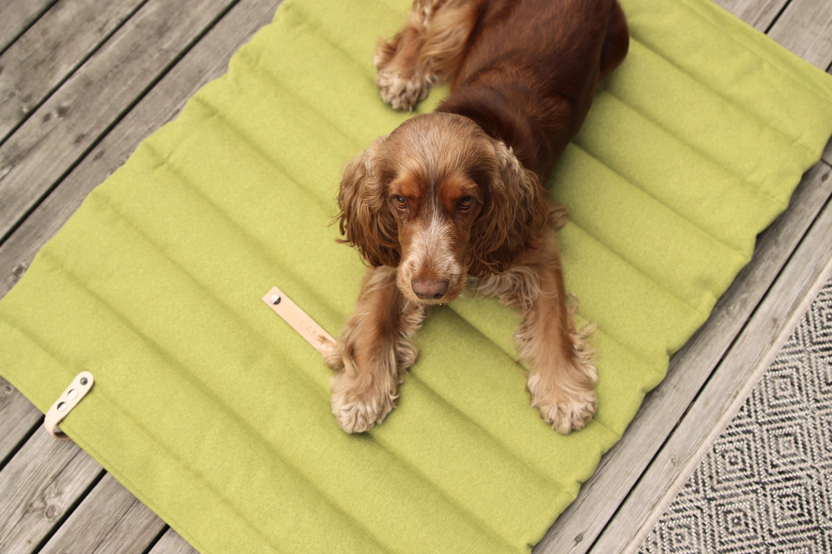 Fosser Quilted Dog Travel Mat