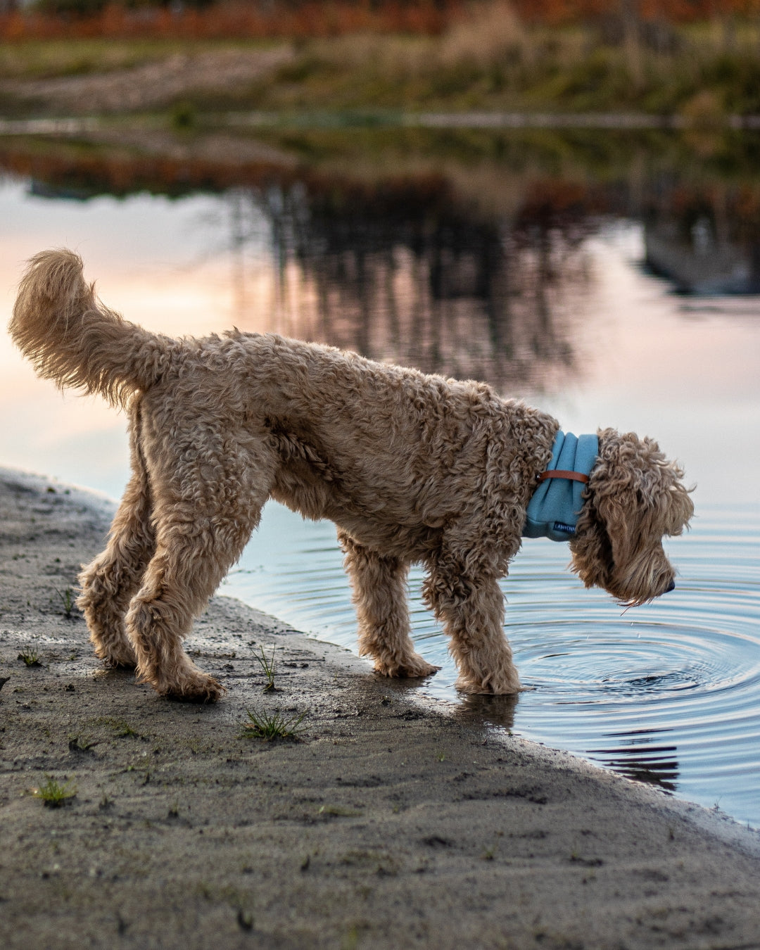 Inko Dog Neck Warmer
