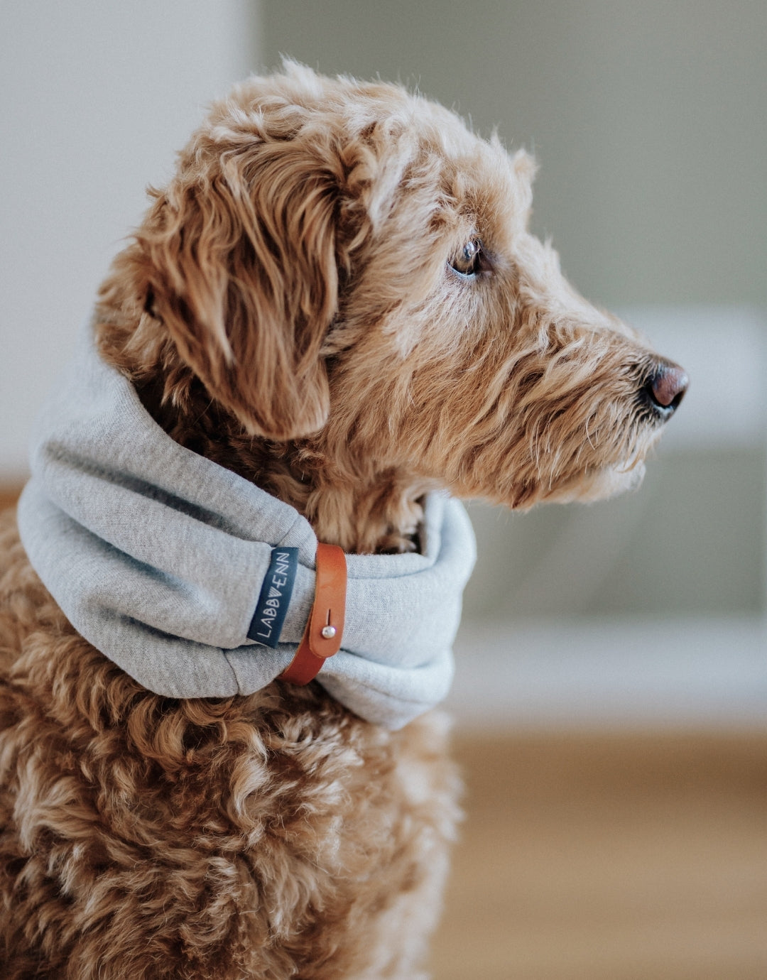 Inko Dog Neck Warmer