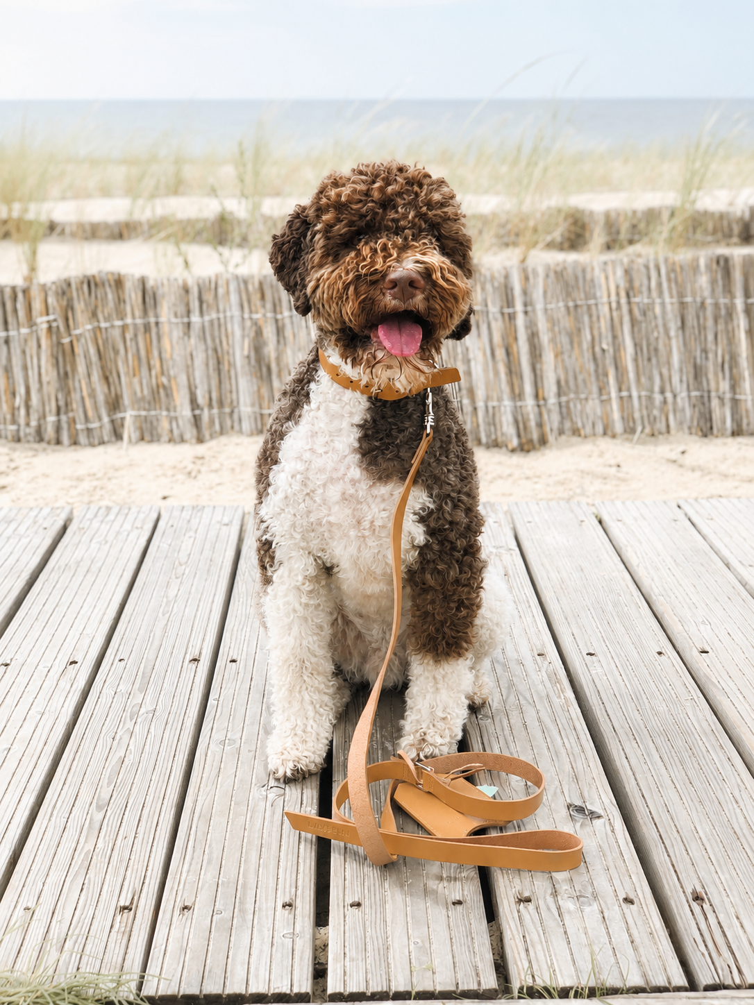 Lussa Leather Dog Leash