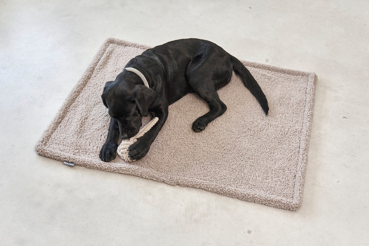 Senso Bouclé Dog Blanket — Greige