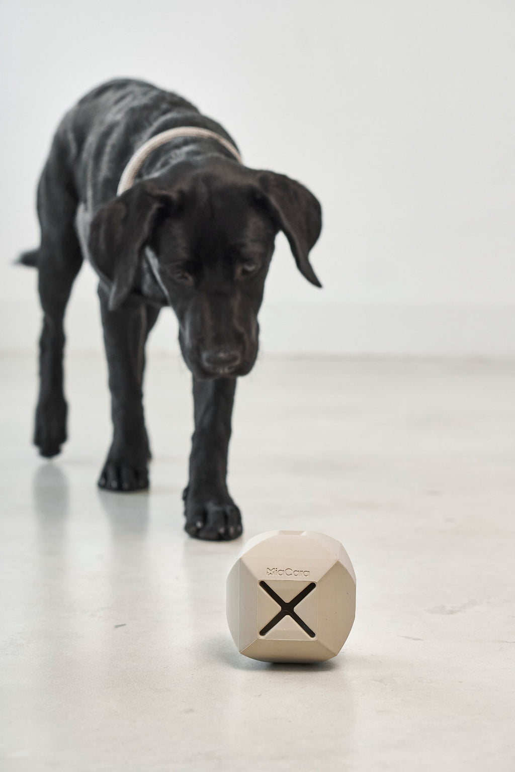 Dado Activity Toy — Greige