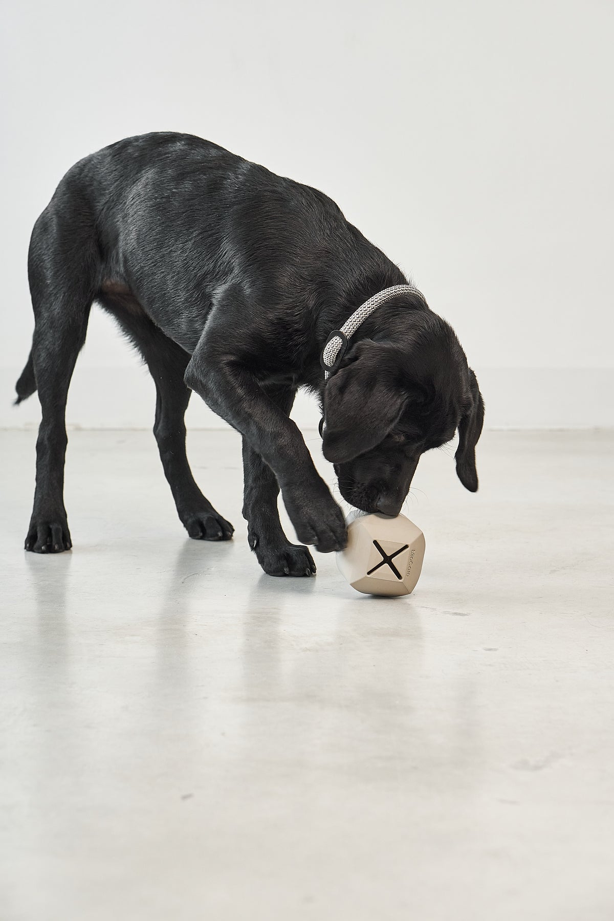 Dado Activity Toy — Greige