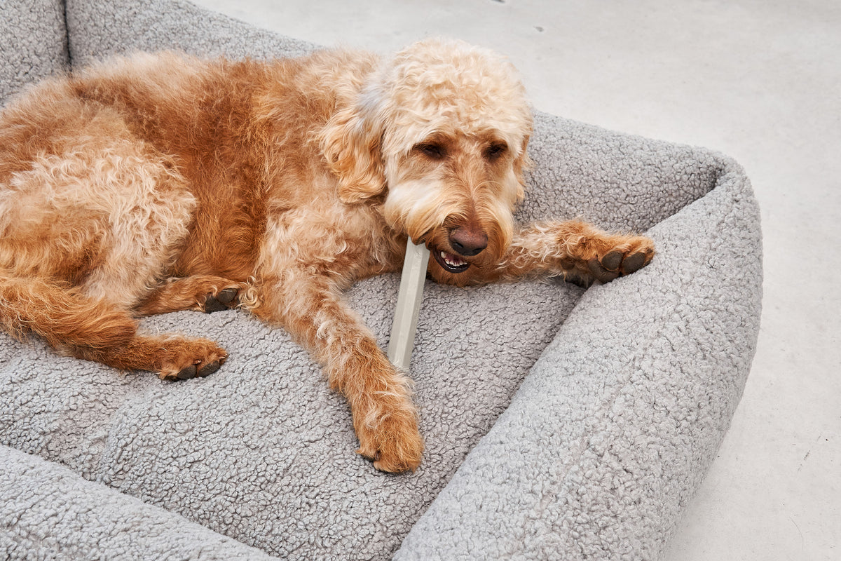 Ramo Fetch Toy — Greige