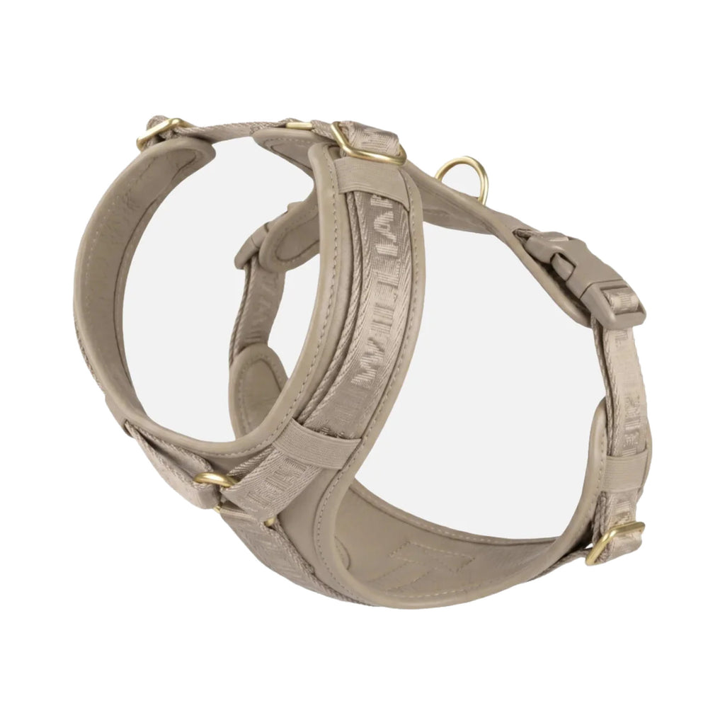 Plain Leather Y-Harness