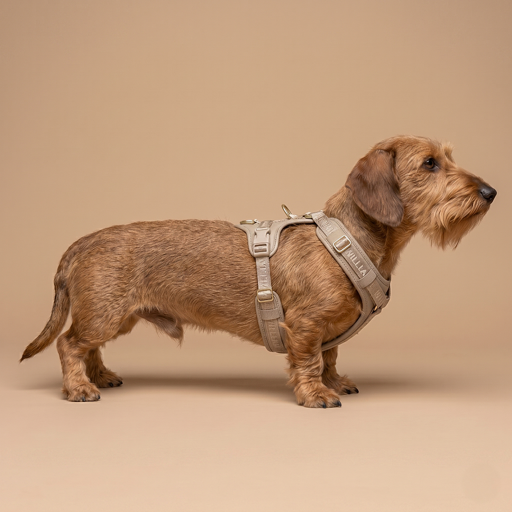 Plain Leather Y-Harness