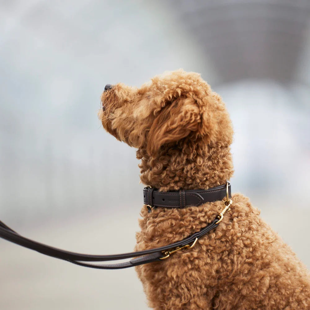 Adjustable Leather Leash