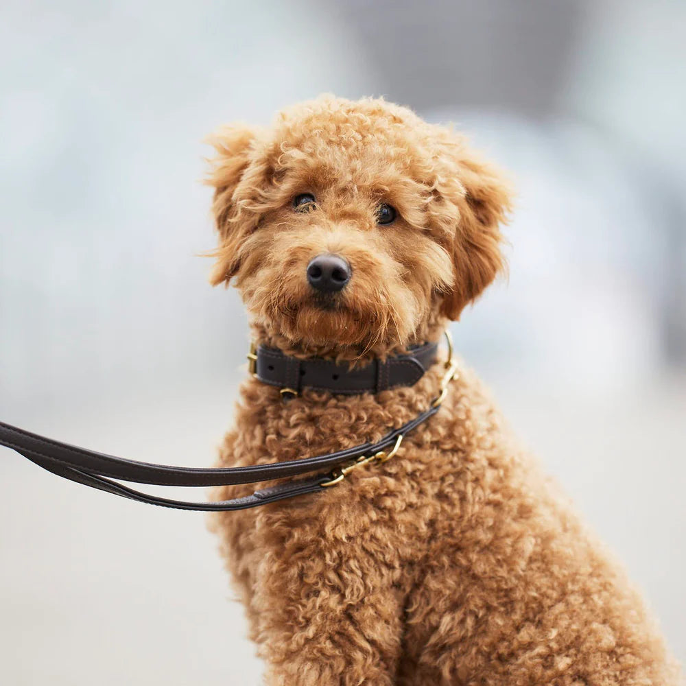 Plain Leather Collar