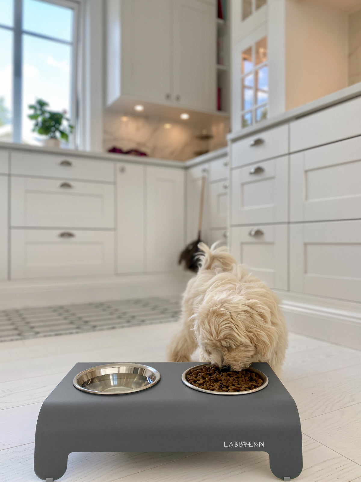 Rico Elevated Double Dog Bowl Feeder