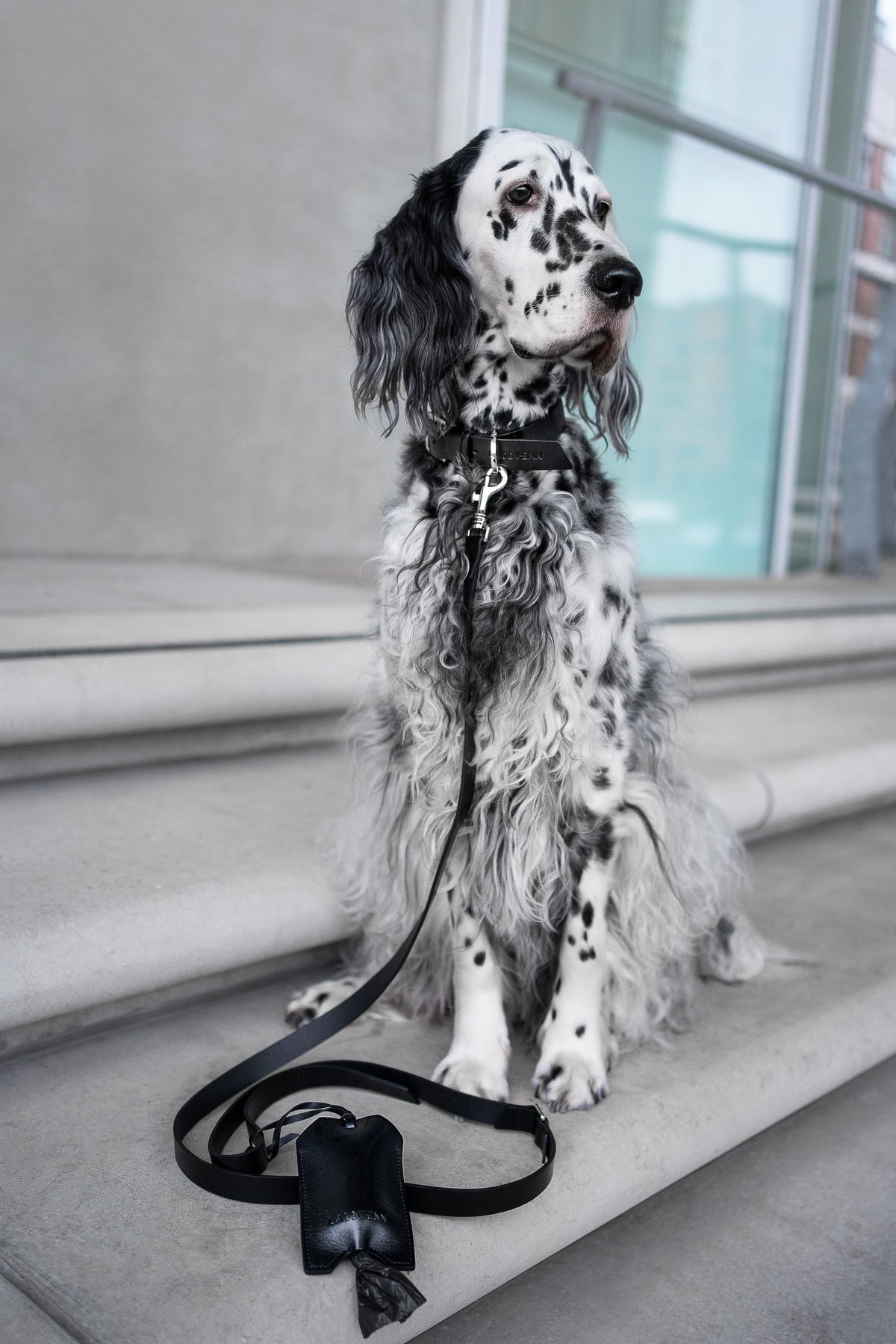 Saku Leather Poop Bag Holder