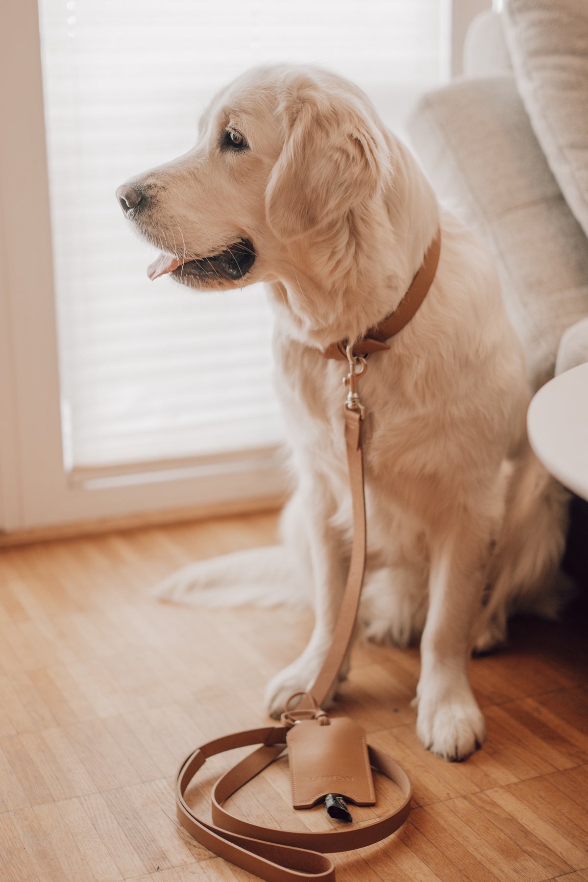 Lussa Leather Leash & Saku Poop Bag Holder Set