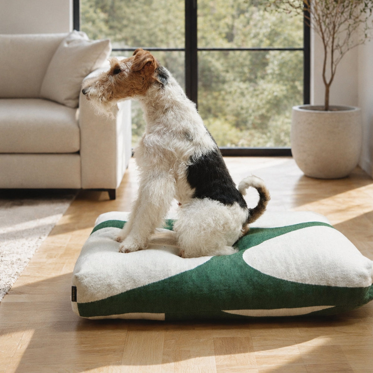 The Stone Cushion