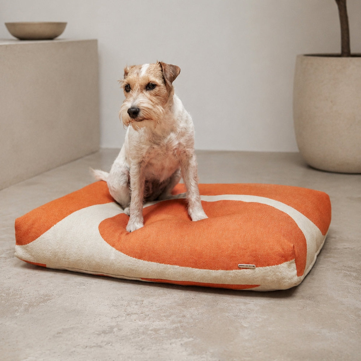 The Stone Cushion