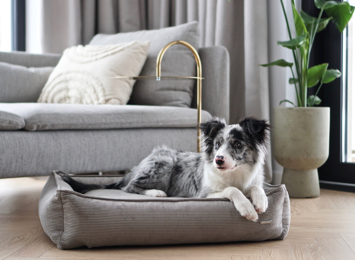 Strippo Dog Bed