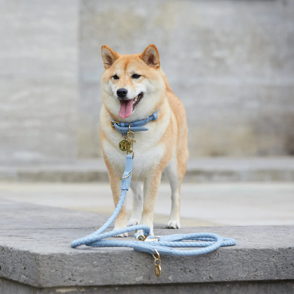 Twisted Leather Leash