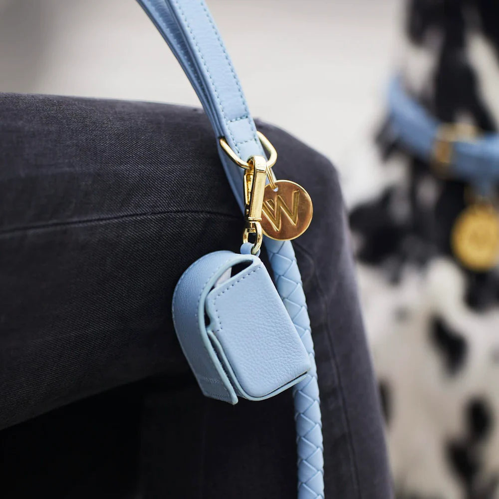 Twisted Leather Leash