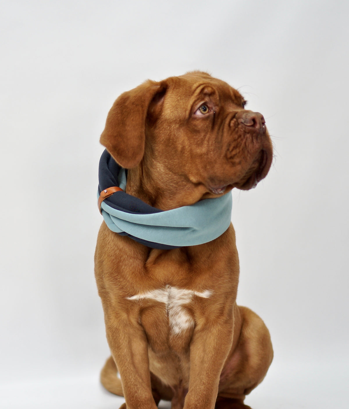Simo Double-Layer Dog Neck Warmer